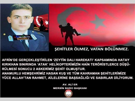 ŞEHİDİMİZ VAR MERSİN !