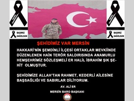 ŞEHİDİMİZ VAR MERSİN