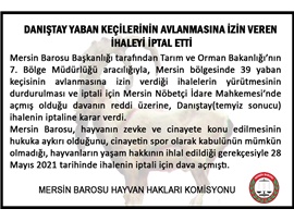 DANIŞTAY YABAN KEÇİLERİNİN AVLANMASINA İZİN VEREN İHALEYİ İPTAL ETTİ