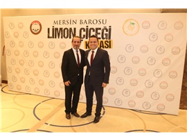 MERSİN BAROSU BAROLAR ARASI LİMON ÇİÇEĞİ BASKETBOL TURNUVASI DÜZENLENDİ