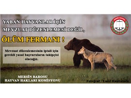 MERSİN BAROSU, YABAN HAYVANLARINA KARŞI ÖLÜM FERMANI İÇİN HAREKETE GEÇTİ