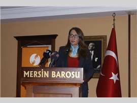BAROMUZ TARAFINDAN ‘AVUKATLAR İÇİN MÜLTECİ HUKUKU’ SEMİNERİ DÜZENLENDİ