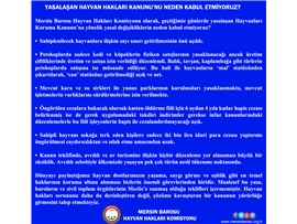 YASALAŞAN HAYVAN HAKLARI KANUNU’NU NEDEN KABUL ETMİYORUZ?