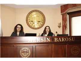 KADIN HAKLARI MERKEZİ, MESLEKTAŞLARIMIZA TOPLUMSAL CİNSİYET EŞİTLİĞİ EĞİTİMİ DÜZENLEDİ