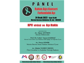 PANEL