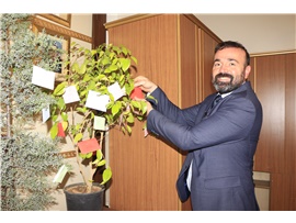İŞ İNSANI SAİT DERVİŞOĞLU’NDAN BAROMUZUN DİLEK AĞACI PROJESİNE DESTEK