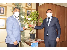 İŞ İNSANI SAİT DERVİŞOĞLU’NDAN BAROMUZUN DİLEK AĞACI PROJESİNE DESTEK