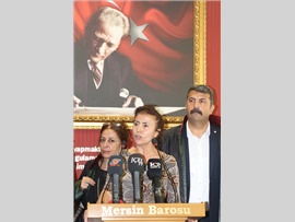 AV. ŞİRİN GÜNER:   “KADIN CİNAYETİNİN ADI: KRAL ÇIPLAKTIR”