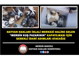 MERSİN KUŞ PAZARINDA CANLILARA EZİYET EDİLMESİNE MÜSAADE ETMEYECEĞİZ
