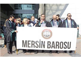 TEHLİKEDEKİ AVUKATLAR GÜNÜ NEDENİYLE BASIN AÇIKLAMASI YAPILDI
