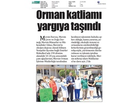 Emirler Mahallesi'ndeki orman katliamı yargıya taşındı