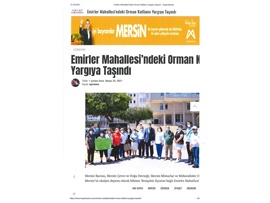 Emirler Mahallesi'ndeki orman katliamı yargıya taşındı