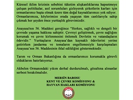 MUĞLA / AKBELEN ORMANINDAKİ YIKIM DERHAL DURDURULMALIDIR