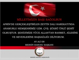 ŞEHİDİMİZ VAR MERSİN ! MİLLETİMİZİN BAŞI SAĞOLSUN.