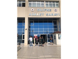 MERSİN BAROSU KADIN HAKLARI MERKEZİ, ALİME TOPRAK DURUŞMASINA KATILDI