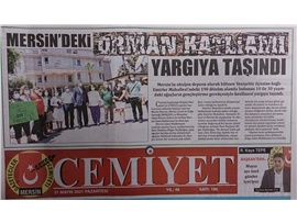 Emirler Mahallesi'ndeki orman katliamı yargıya taşındı