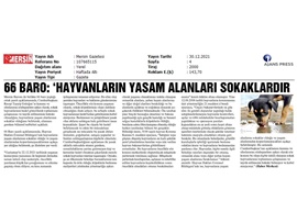 66 Baro: "Hayvanların yaşam alanları sokaklardır"