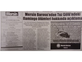 Tuz Gölü'ndeki toplu flamingo ölümlerinin önüne geçilmelidir