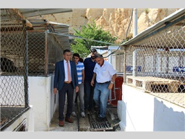 BARO BAŞKANIMIZ AV. ALİ ER, MERSİN HAYVAN BARINAĞI’NI ZİYARET ETTİ