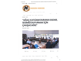 Ardıç ağacı katliamını durdurmak için bir araya geldiler