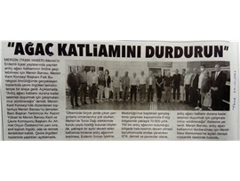 Ardıç ağacı katliamını durdurmak için bir araya geldiler