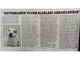 66 Baro: "Hayvanların yaşam alanları sokaklardır"