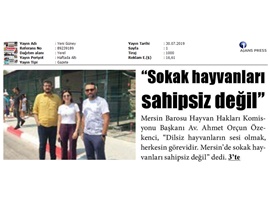BASINDA BAROMUZ (Sokak Hayvanları Sahipsiz Değil)