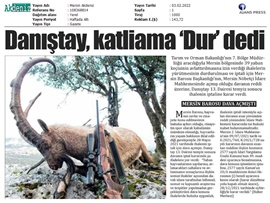 Yaban keçisi avlattırılması ihalesine Danıştay dur dedi.