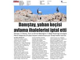 Yaban keçisi avlattırılması ihalesine Danıştay dur dedi.