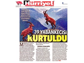 Yaban keçisi avlattırılması ihalesine Danıştay dur dedi.