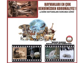 “HAYVANLARI EN ÇOK KENDİMİZDEN KORUMALIYIZ”