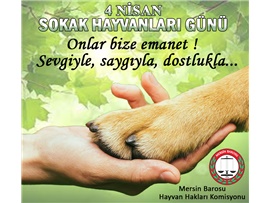 Sokak Hayvanları Günü