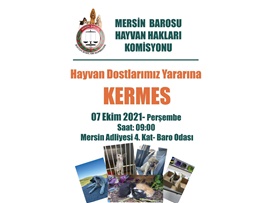 HAYVAN DOSTLARIMIZ YARARINA KERMES DÜZENLİYORUZ