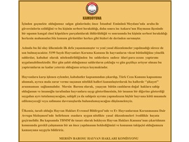 HAYVAN HAKLARI KOMİSYONUMUZDAN HAYVANA ŞİDDETE TEPKİ