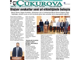 BASINDA BAROMUZ (Stajyer Avukatlar Yeni Yıl Etkinliğinde Buluştu)