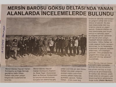 Mersin Barosu , Göksu Deltası ' nda yangın bölgesinde incelemelerde bulundu