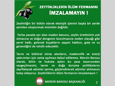 ZEYTİNLİKLERİN ÖLÜM FERMANINI İMZALAMAYIN