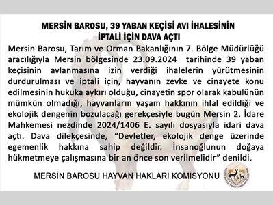 39 YABAN KEÇİSİ AVI İHALESİ İÇİN DAVA AÇILDI