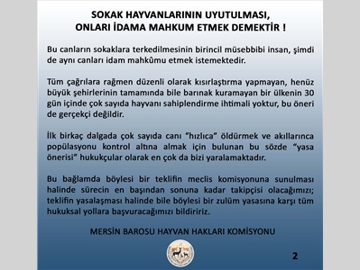 SOKAK HAYVANLARININ UYUTULMASI, ONLARI İDAMA MAHKUM ETMEK DEMEKTİR !