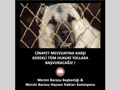 CİNAYET MEVZUATINA KARŞI GEREKLİ TÜM HUKUKİ YOLLARA BAŞVURACAĞIZ