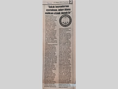 Sokak hayvanlarının uyutulması, onları idama mahkum etmek demektir !