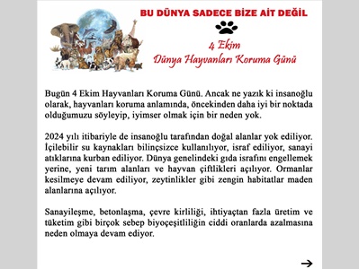BU DÜNYA SADECE BİZE AİT DEĞİL