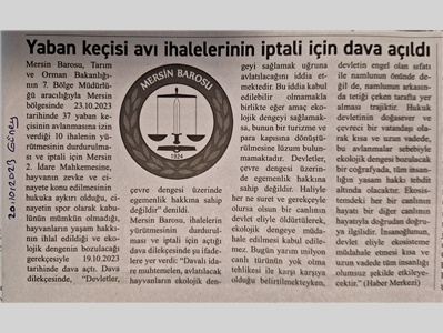 Mersin Barosu 37 yaban keçisi ihalesinin iptali için dava açtı