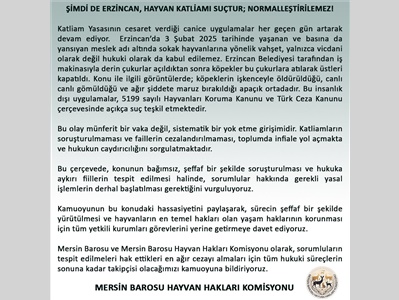 HAYVAN KATLİAMI SUÇTUR !
